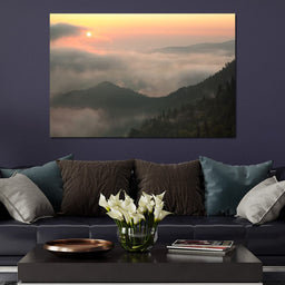 Fog over the Forest - NicheCanvas