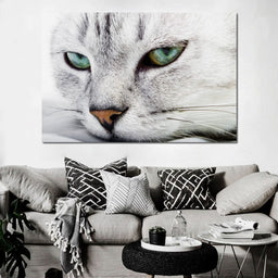 Cat Relaxing - NicheCanvas