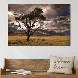 Stormy Afternoon - NicheCanvas