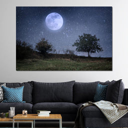 Beautiful Moonlight | NicheCanvas