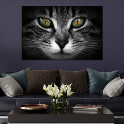 Green Eyed Cat - NicheCanvas