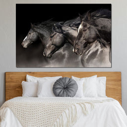 Three Black Stallions - NicheCanvas