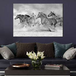 Black & White Horses Heard - NicheCanvas