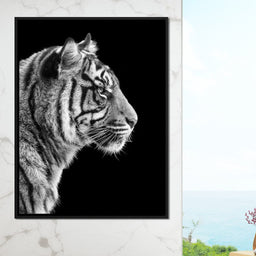 Black and White Sumatran Tiger - NicheCanvas
