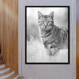 Black & White Kitty Cat - Ben Heine - NicheCanvas