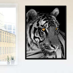 Black and White Tiger with Yellow Eyes - NicheCanvas