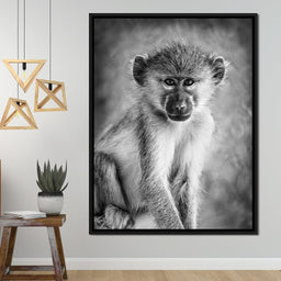 Monkey in Black & White - NicheCanvas