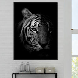 Black and White Fading Tiger - NicheCanvas