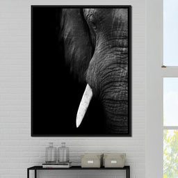 Black and White Elephant Close up - NicheCanvas