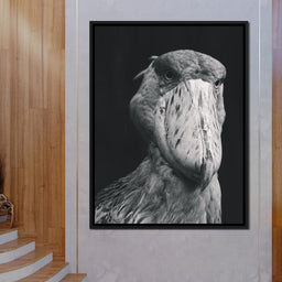 Black and White Shoebill Stork - NicheCanvas
