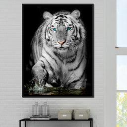 Blue Eyed Snow Tiger - NicheCanvas
