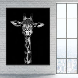 Black and White Giraffe - NicheCanvas