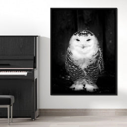 Black and White Snowy Owl - NicheCanvas