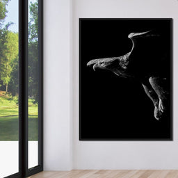 Black and White Eagle - NicheCanvas