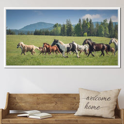 Horses of all Colors Running in a Pasture - Terrie Gray - NicheCanvas