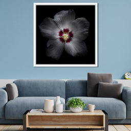 Backyard Flowers Color Version - Brian Carson - NicheCanvas