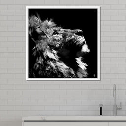 Lion Stare - Andy Brackpool - NicheCanvas
