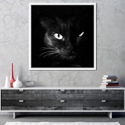 Black and White Cat - NicheCanvas