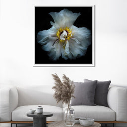 Backyard Flowers Series 4 - Brian Carson - NicheCanvas