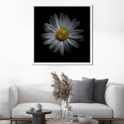 Backyard Flowers 3 panels - Brian Carson - NicheCanvas