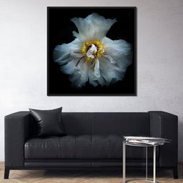 Backyard Flowers Series 4 - Brian Carson - NicheCanvas