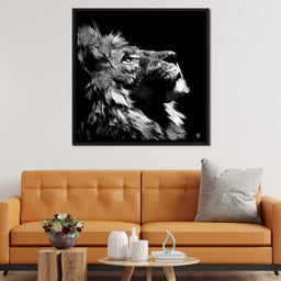 Lion Stare - Andy Brackpool - NicheCanvas