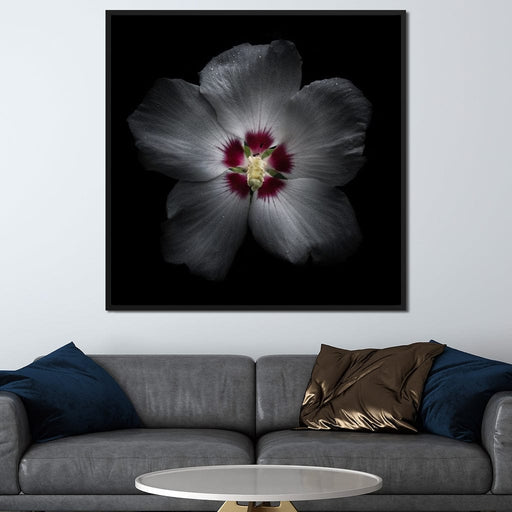 Backyard Flowers Color Version - Brian Carson Canvas Print