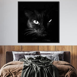 Black and White Cat - NicheCanvas