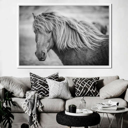 Icelandic Horse in Black & White - NicheCanvas