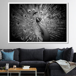 Black and White Peacock - NicheCanvas