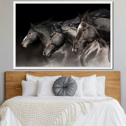 Three Black Stallions - NicheCanvas