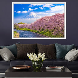 Cherry Blossoms in Japan - NicheCanvas