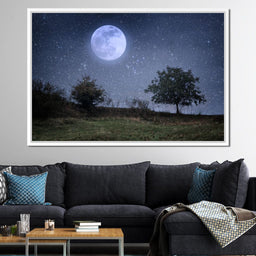 Beautiful Moonlight - NicheCanvas