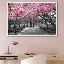 Pink Blossoms in Black and White - NicheCanvas