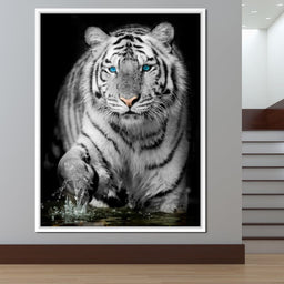 Blue Eyed Snow Tiger - NicheCanvas