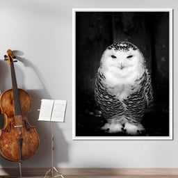 Black and White Snowy Owl - NicheCanvas