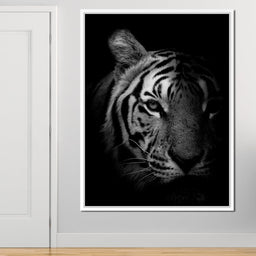 Black and White Fading Tiger - NicheCanvas