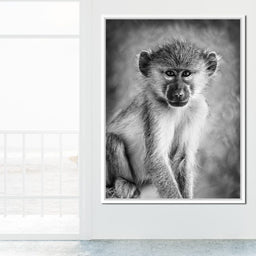 Monkey in Black & White - NicheCanvas