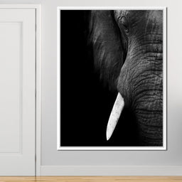 Black and White Elephant Close up - NicheCanvas
