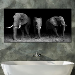 Black and White Elephants - NicheCanvas