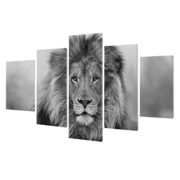 Black And White Lion