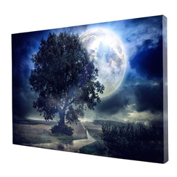 Giant Moon Summer Night