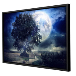 Giant Moon Summer Night