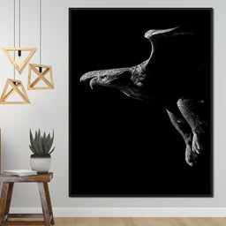 Black and White Eagle - NicheCanvas