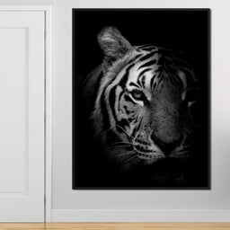 Black and White Fading Tiger - NicheCanvas