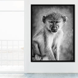 Monkey in Black & White - NicheCanvas