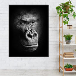 Black and White Gorilla - NicheCanvas