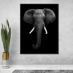 Black and White Elephant Face - NicheCanvas