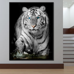 Blue Eyed Snow Tiger - NicheCanvas
