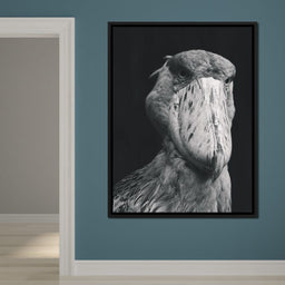Black and White Shoebill Stork - NicheCanvas